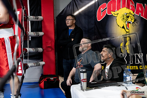 Cougar Boxing -0245