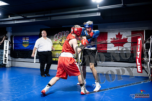 Cougar Boxing -0246