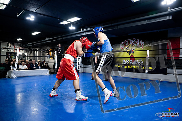 Cougar Boxing -0247