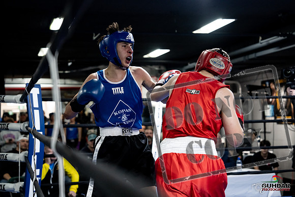 Cougar Boxing -0249
