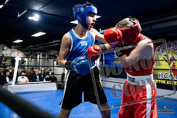 Cougar Boxing -0250