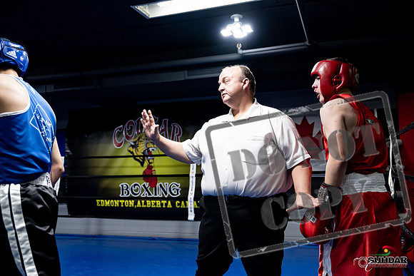 Cougar Boxing -0252