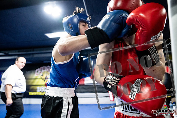 Cougar Boxing -0253