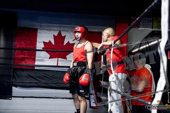 Cougar Boxing -0259