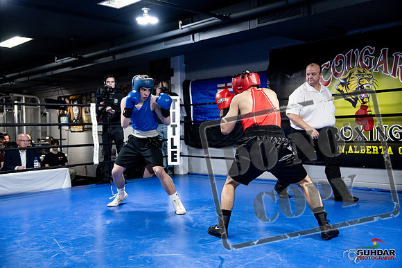 Cougar Boxing -0265