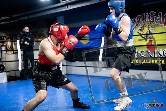 Cougar Boxing -0270