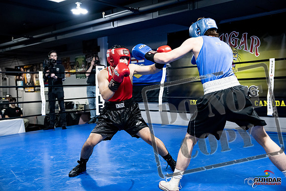Cougar Boxing -0271