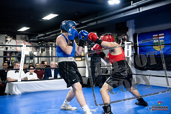 Cougar Boxing -0272