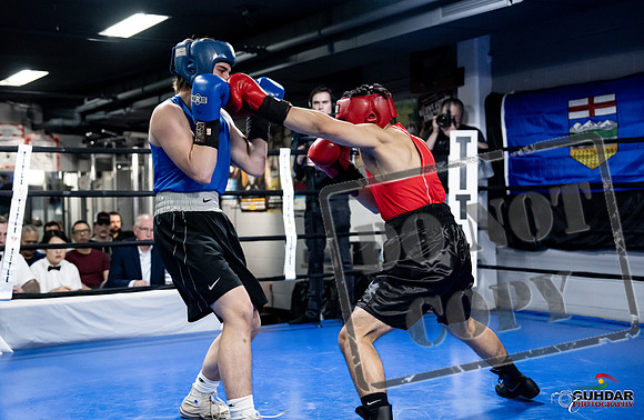 Cougar Boxing -0273