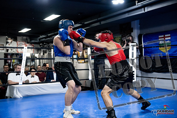 Cougar Boxing -0274
