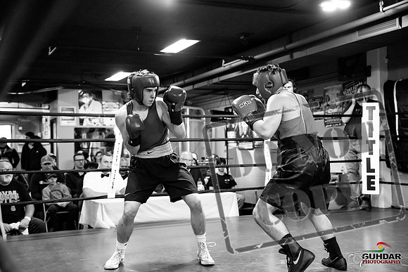 Cougar Boxing -0275