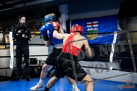Cougar Boxing -0277