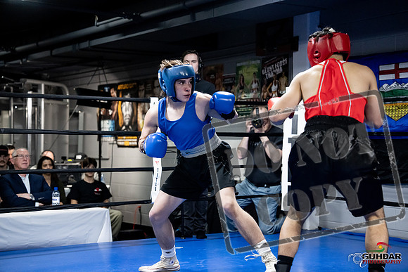 Cougar Boxing -0278