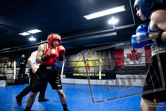 Cougar Boxing -0280