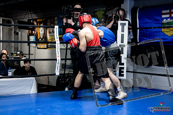 Cougar Boxing -0282