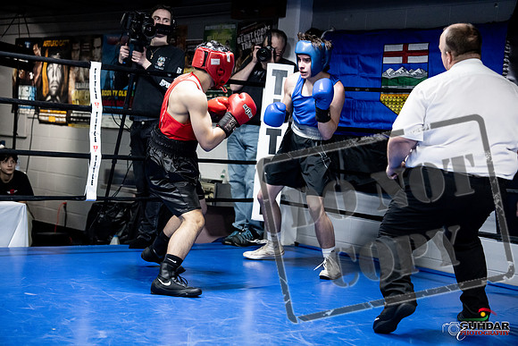 Cougar Boxing -0283