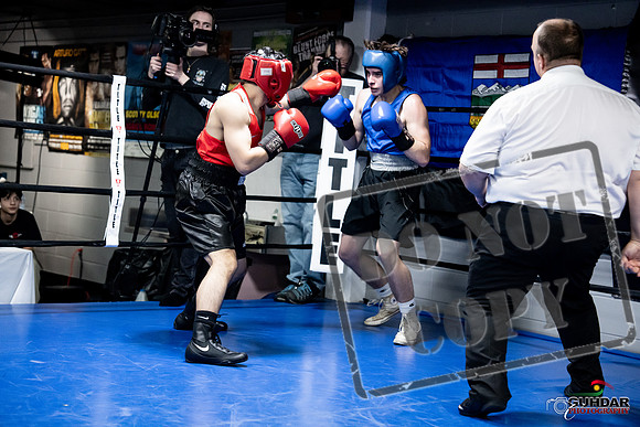 Cougar Boxing -0284