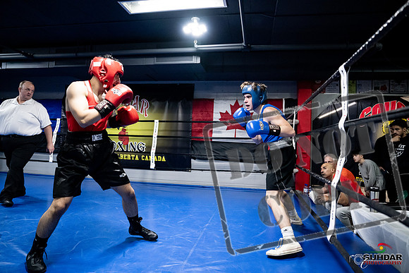 Cougar Boxing -0290