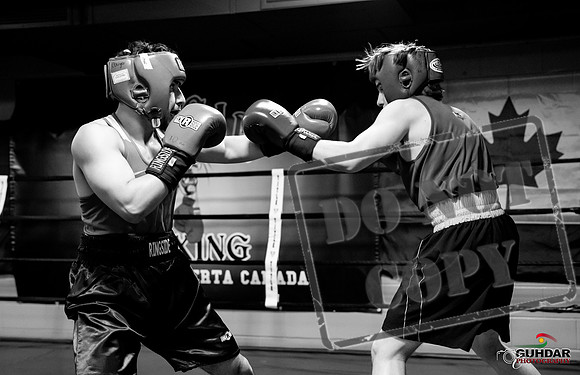 Cougar Boxing -0291