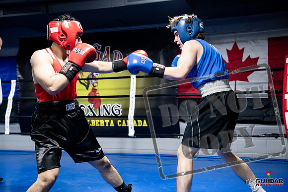 Cougar Boxing -0292