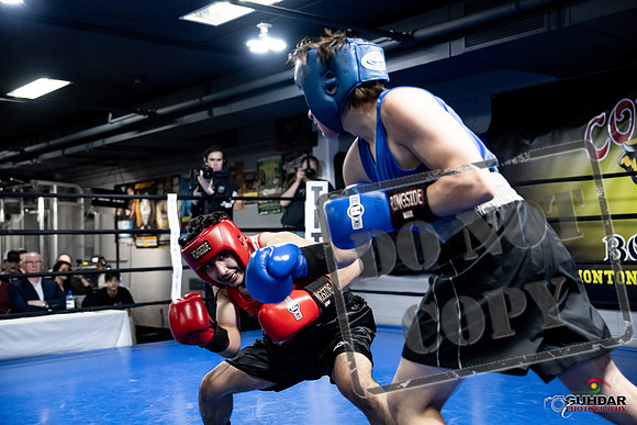 Cougar Boxing -0293