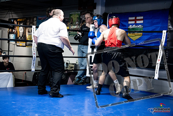 Cougar Boxing -0295