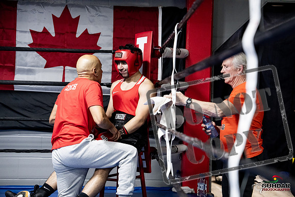 Cougar Boxing -0296