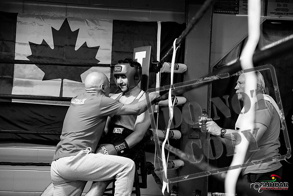 Cougar Boxing -0299