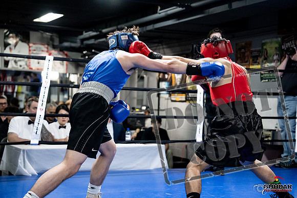 Cougar Boxing -0304