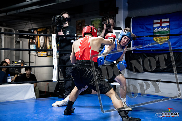 Cougar Boxing -0305