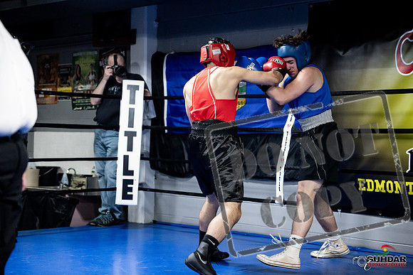 Cougar Boxing -0306