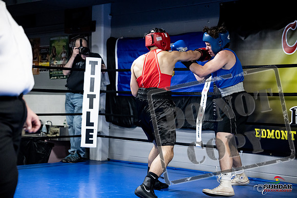 Cougar Boxing -0307