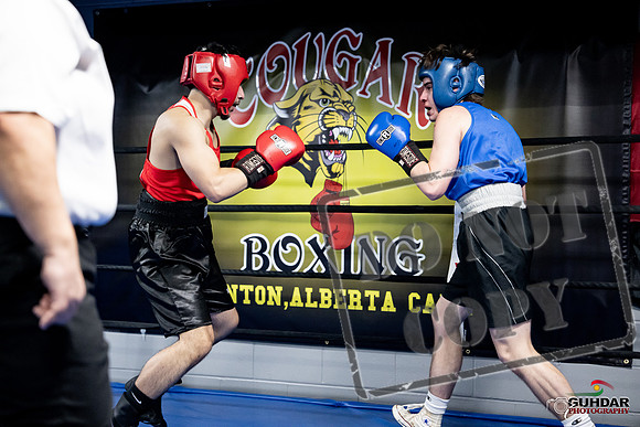 Cougar Boxing -0308
