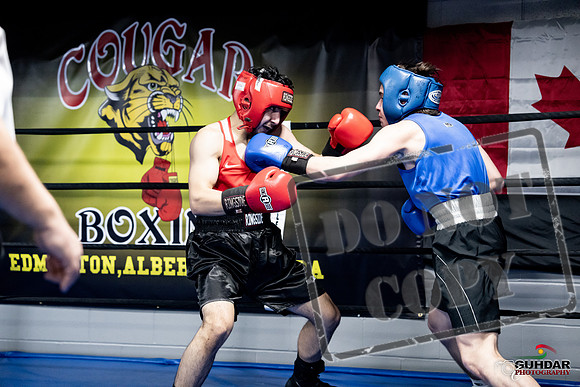 Cougar Boxing -0309