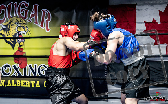 Cougar Boxing -0310