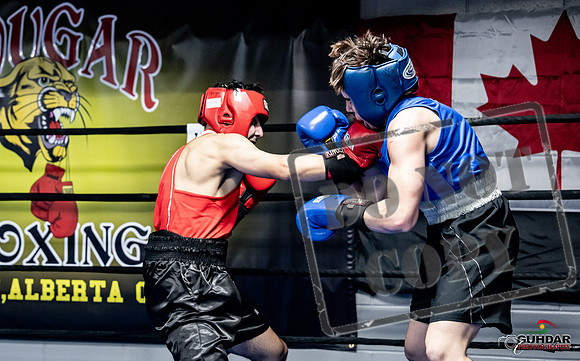 Cougar Boxing -0311