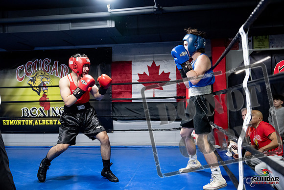 Cougar Boxing -0313