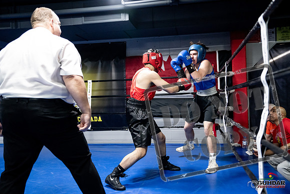Cougar Boxing -0316