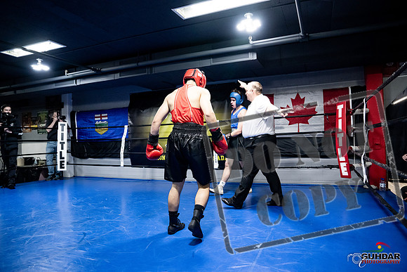 Cougar Boxing -0317