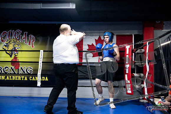 Cougar Boxing -0318