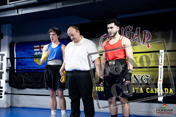 Cougar Boxing -0319