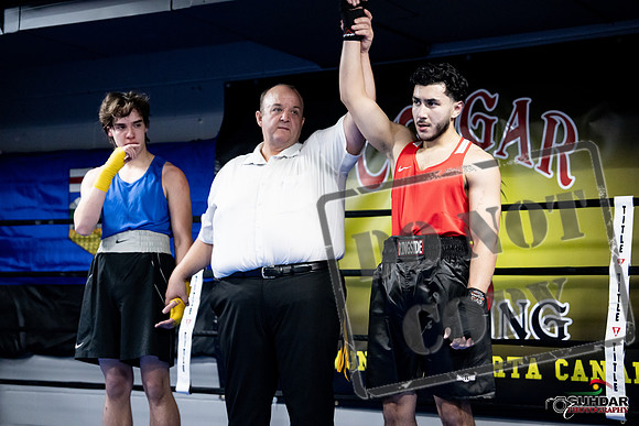 Cougar Boxing -0321