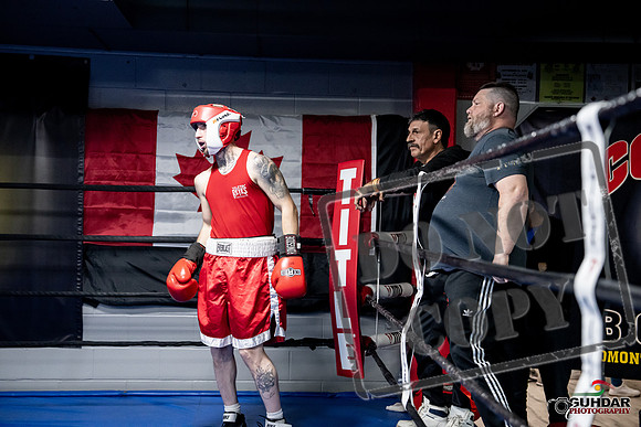 Cougar Boxing -0322