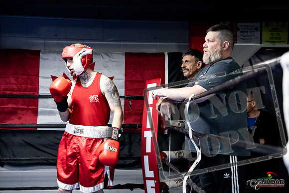 Cougar Boxing -0323
