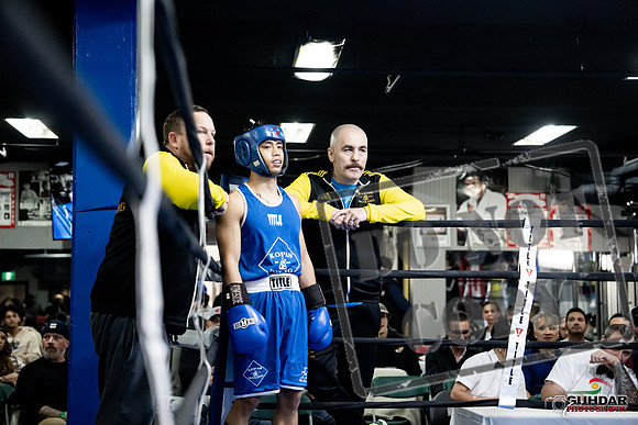 Cougar Boxing -0325