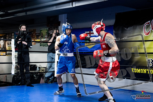 Cougar Boxing -0328