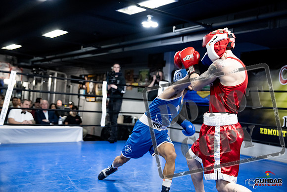 Cougar Boxing -0327