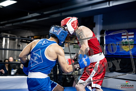 Cougar Boxing -0329