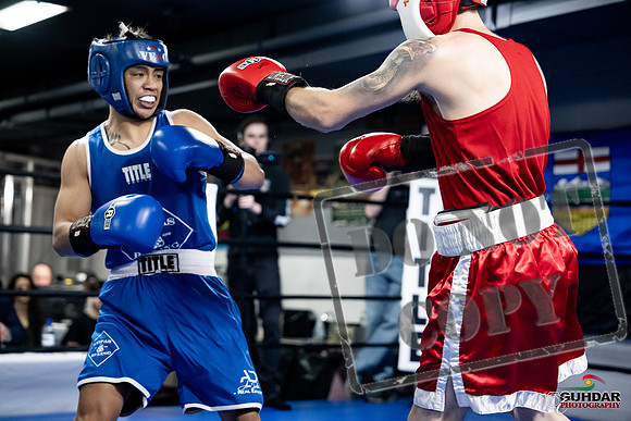 Cougar Boxing -0330