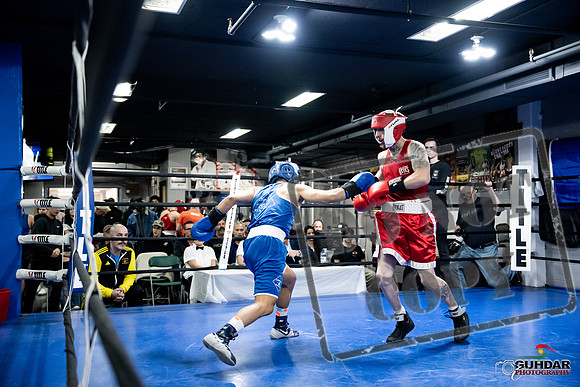 Cougar Boxing -0331
